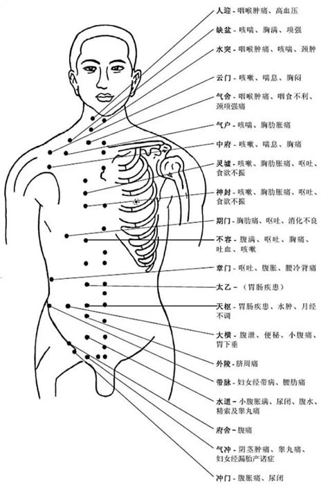 穴位圖